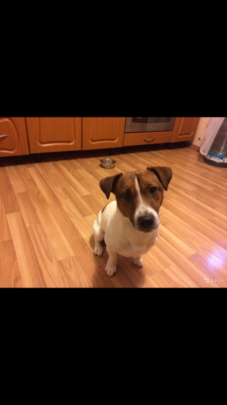 ���� ������ ������. ���������� �����