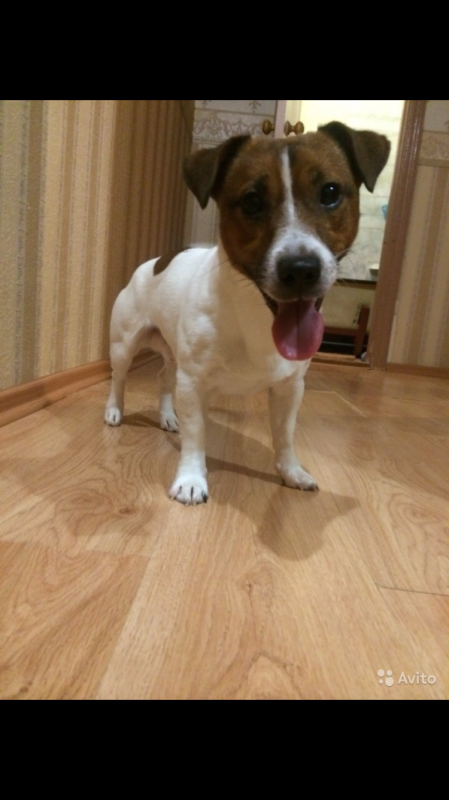 ���� ������ ������. ���������� �����