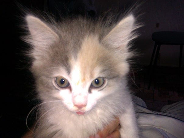 ������������ ���������������