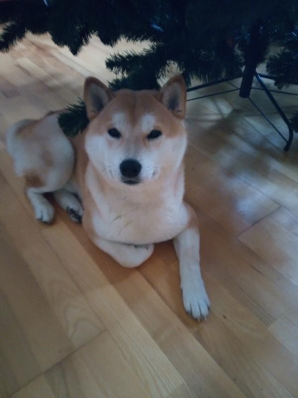 ����-���