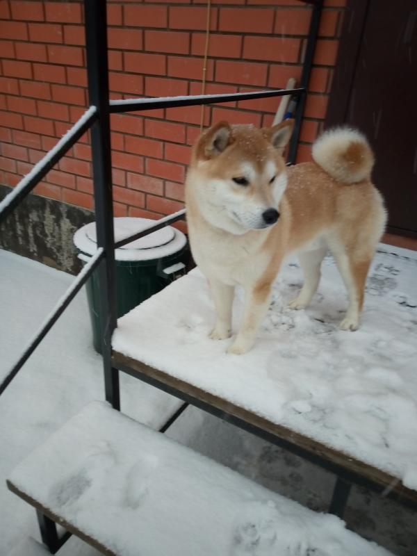 ����-���