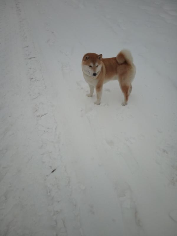 ����-���