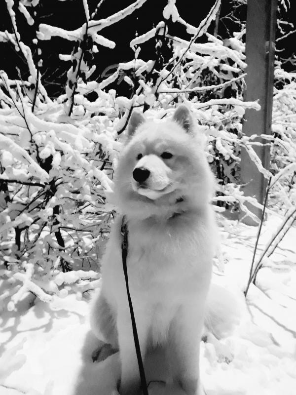 ����� ����������