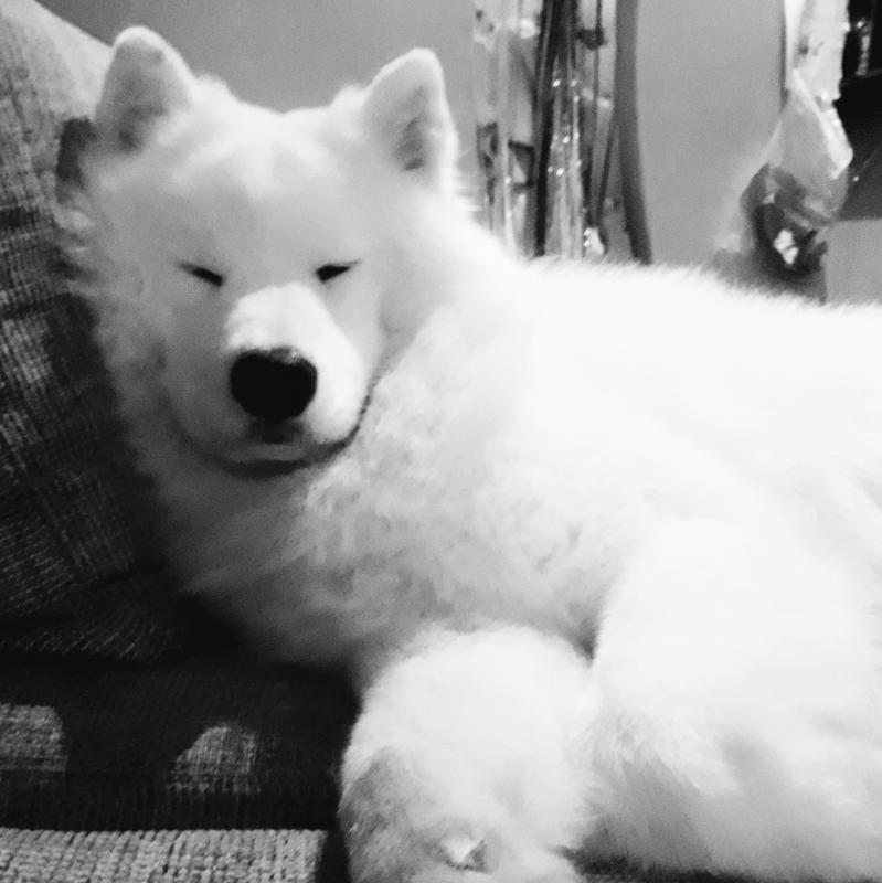 ����� ����������