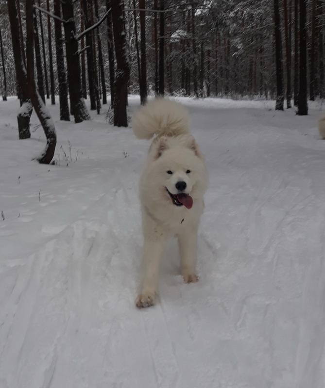 ����� ����������