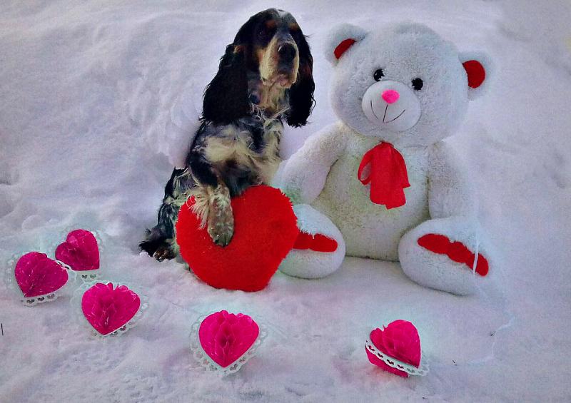 ������� ��������� ��������