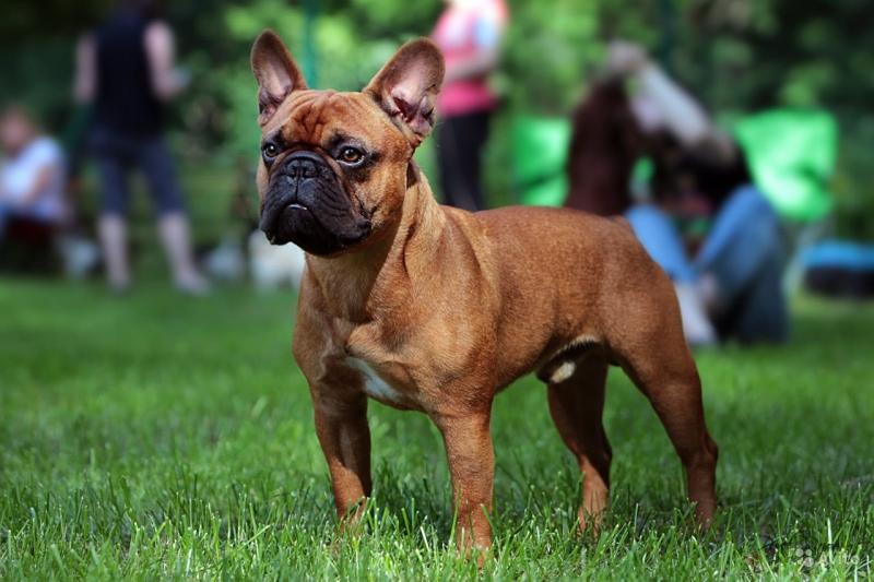 ����������� �������. ���������� �����