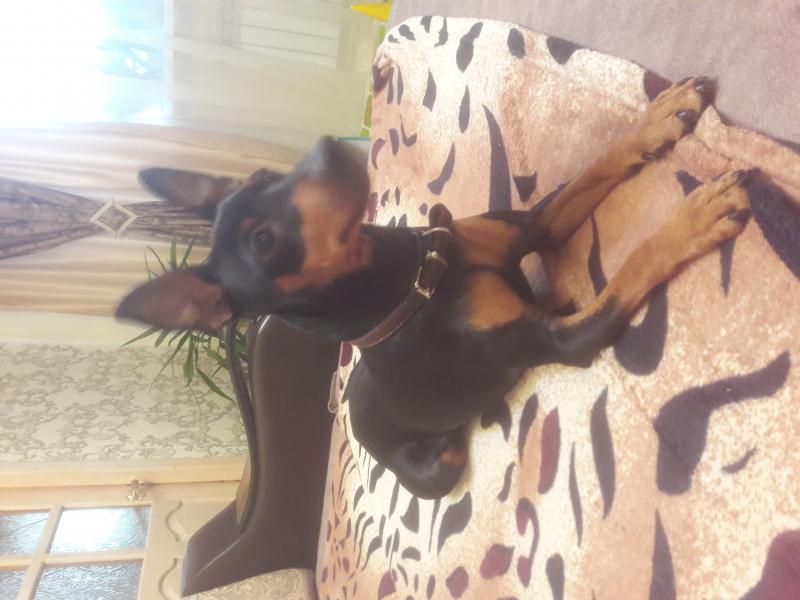 �����������. ���������� �����