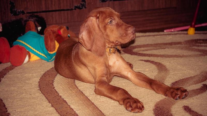 ���������� �����. ���������� �����