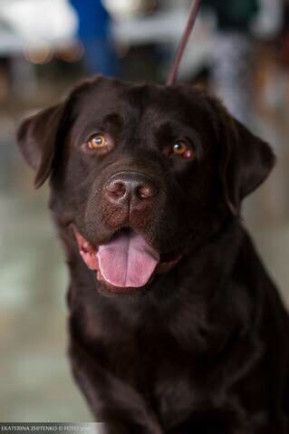 �������� ��������. ���������� �����