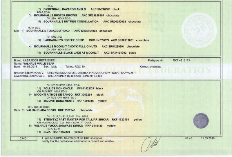 �������� ��������. ���������� �����