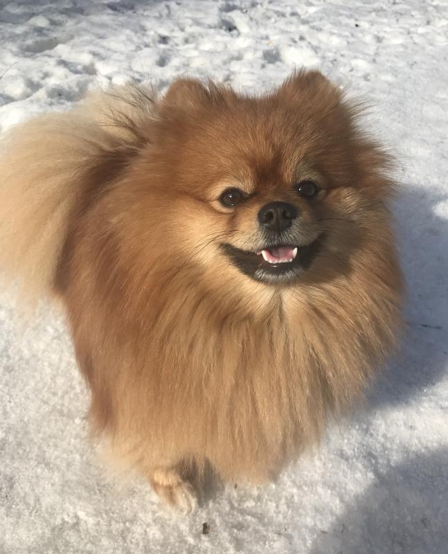 �������� ����. ���������� �����