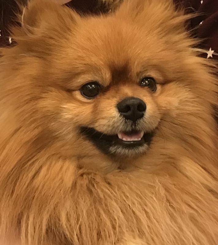 �������� ����. ���������� �����