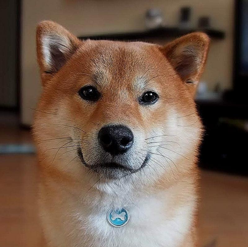 ����-���