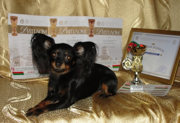 ������� ���-������. ���������� �����