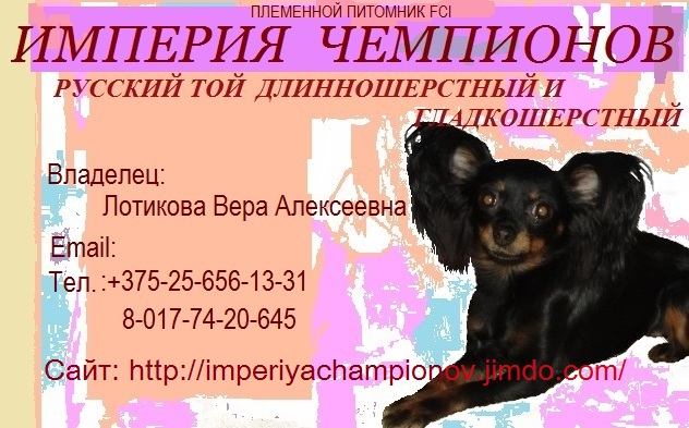 ������� ���-������. ���������� �����