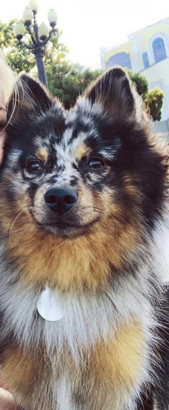 �������� ����