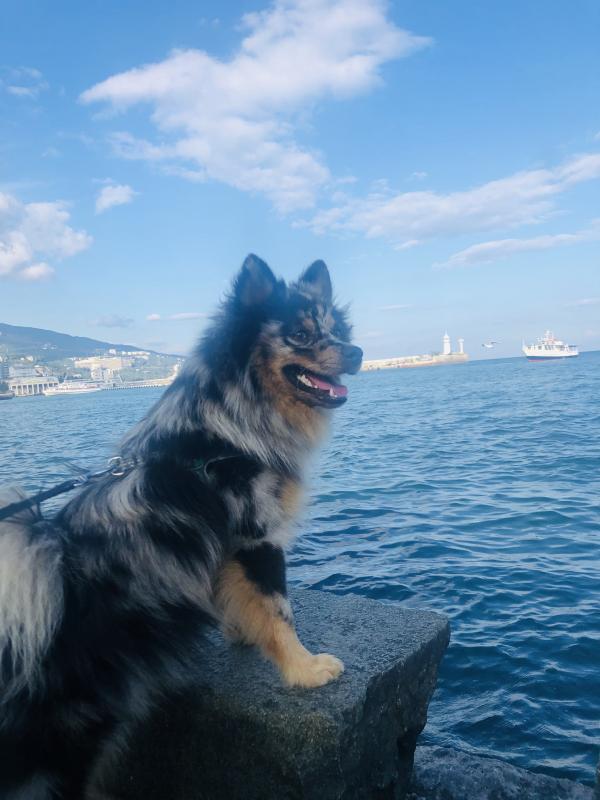 �������� ����