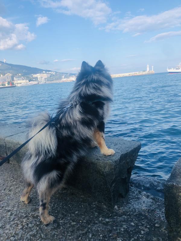 �������� ����