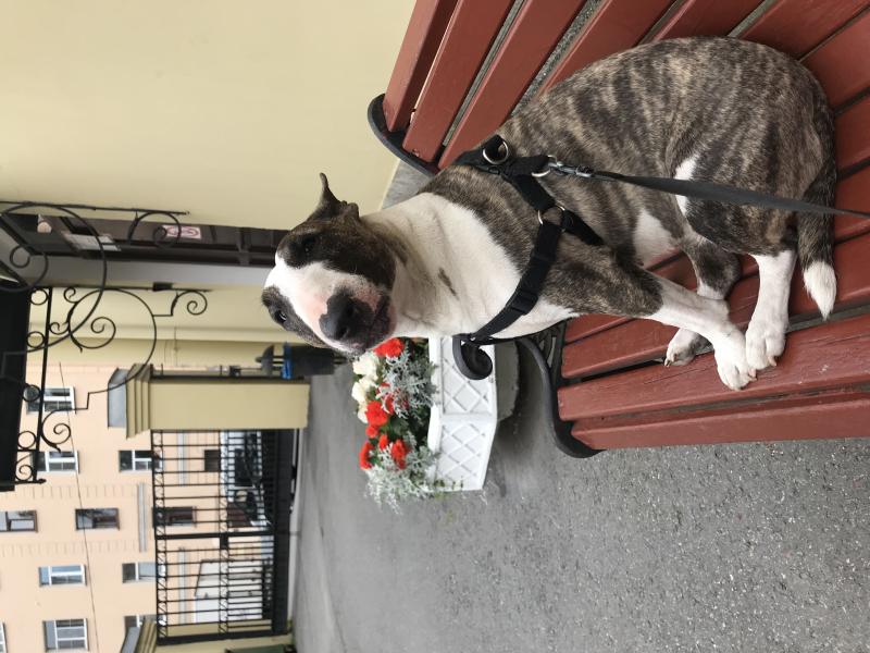 ����������