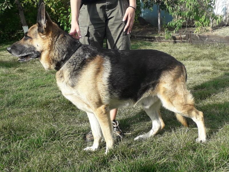 �������� �������. ���������� �����