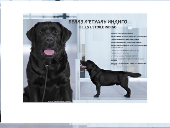 �������� ��������. ���������� �����