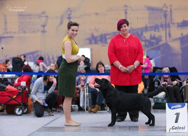 �������� ��������. ���������� �����