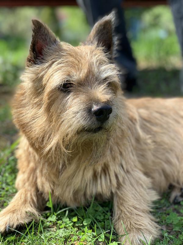 ������-������. ���������� �����