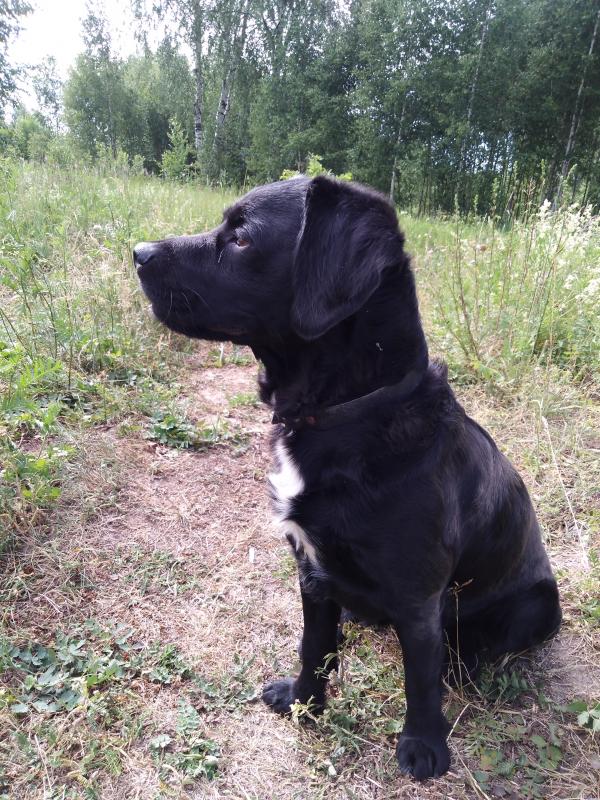 ��� ������. ���������� �����