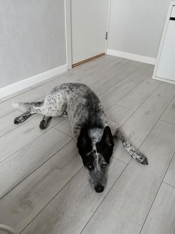 ��� ������. ���������� �����