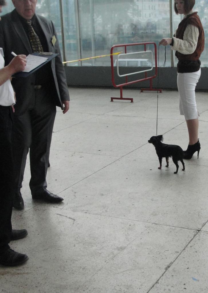 ������� ���-������. ���������� �����