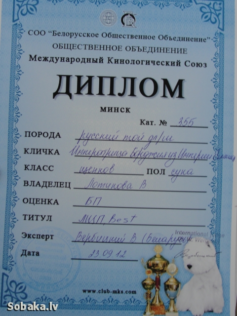 ������� ���-������. ���������� �����