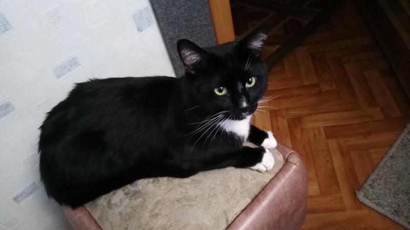 ��� ������. ���������� �����