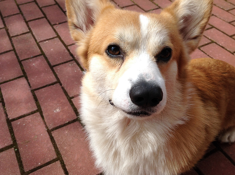 ����� ����� ��������. ���������� �����