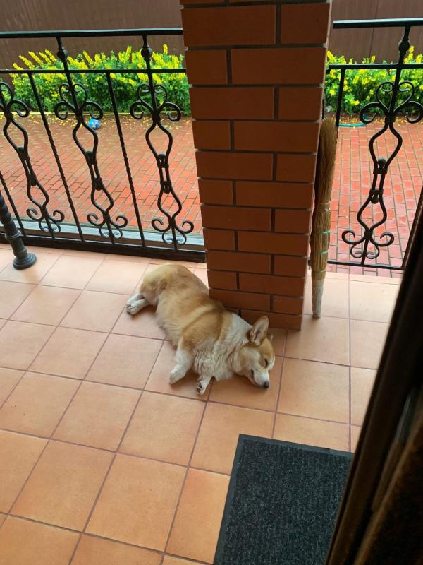 ����� ����� ��������. ���������� �����