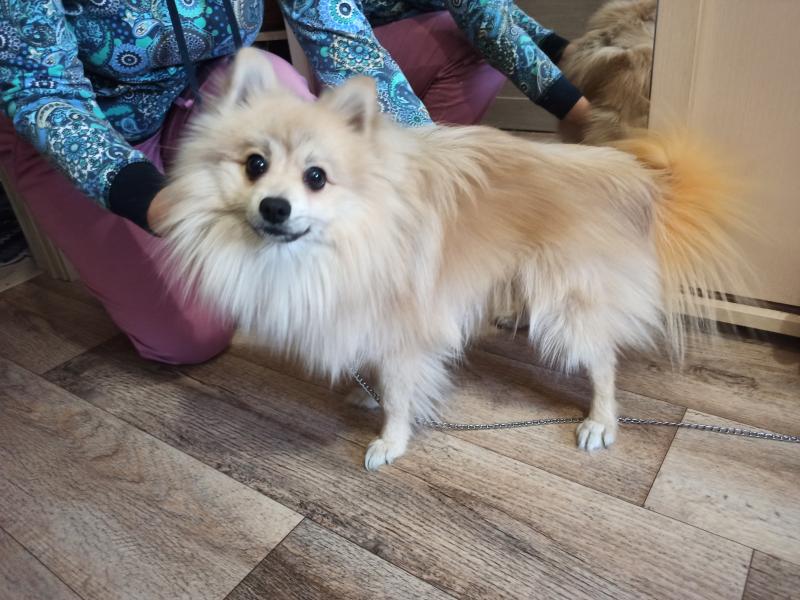 �������� ����. ���������� �����