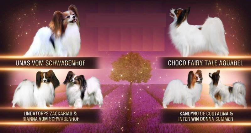 ��������. ���������� �����