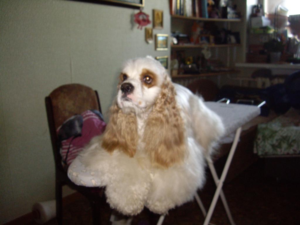 ������������ ����� ��������. ���������� �����