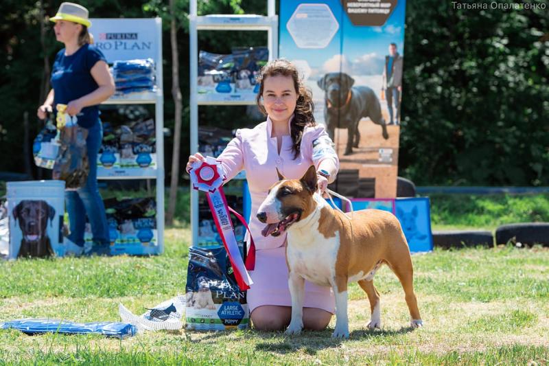 ����������. ���������� �����