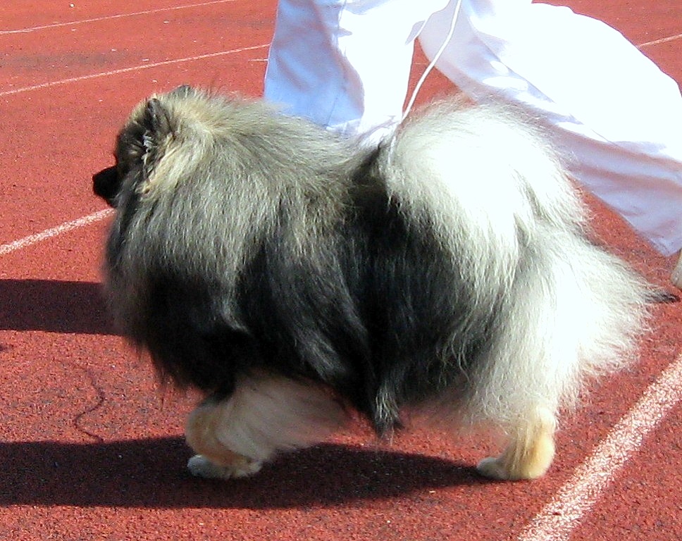 �������� ����. ���������� �����