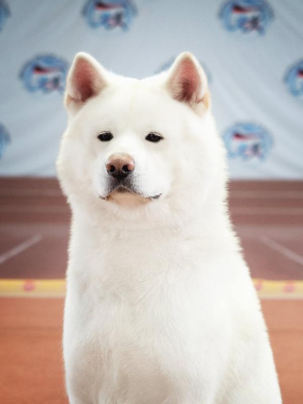 �����-���