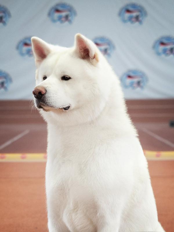 �����-���