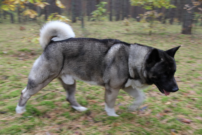 ������������ �����