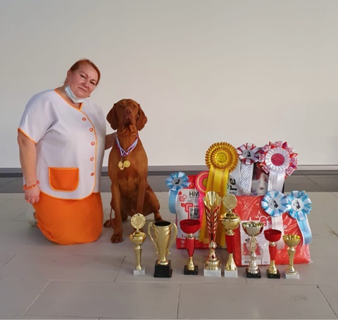 ���������� �����. ���������� �����