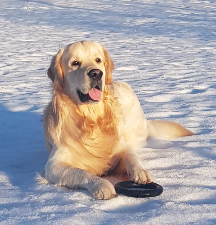 �������� ������. ���������� �����