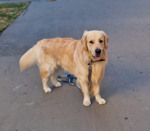 �������� ������. ���������� �����