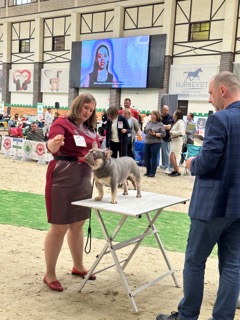 ����������� �������. ���������� �����