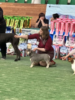 ����������� �������. ���������� �����