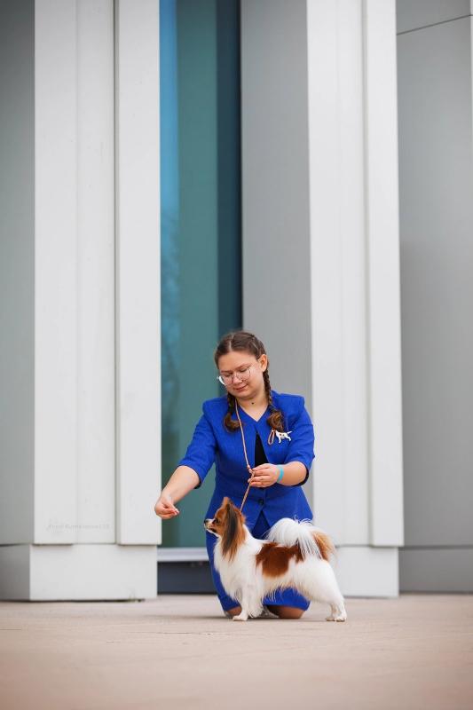 ��������. ���������� �����