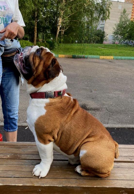 ���������� �������. ���������� �����